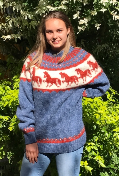 Strickpaket Alafoss Lopi Pferdepullover Nr. 8816